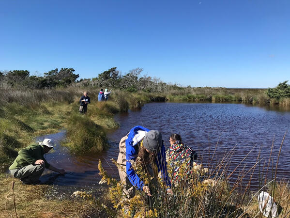 Collecting water samples in North Core Banks