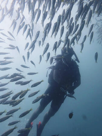 Swimming among fish during my open water class in Phuket, Thailand